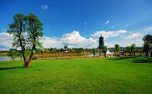 |@D(zhun)уЈɑ]ˆ᣿Dģ